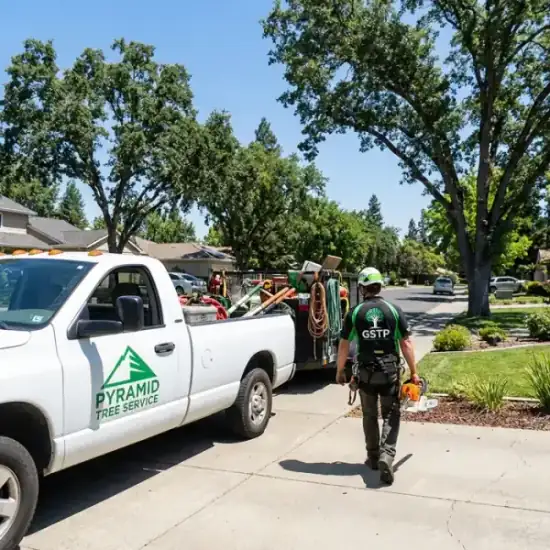 Simpson's Tree Service truck arriving at a Virginia Beach residential job